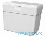 Caixa de isopor 21 lts
