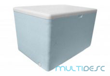 Caixa de isopor 170 lts
